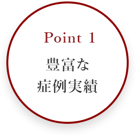 point1 豊富な症例実績